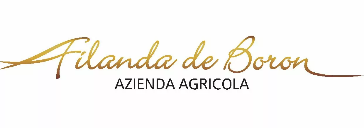 Filanda de Boron