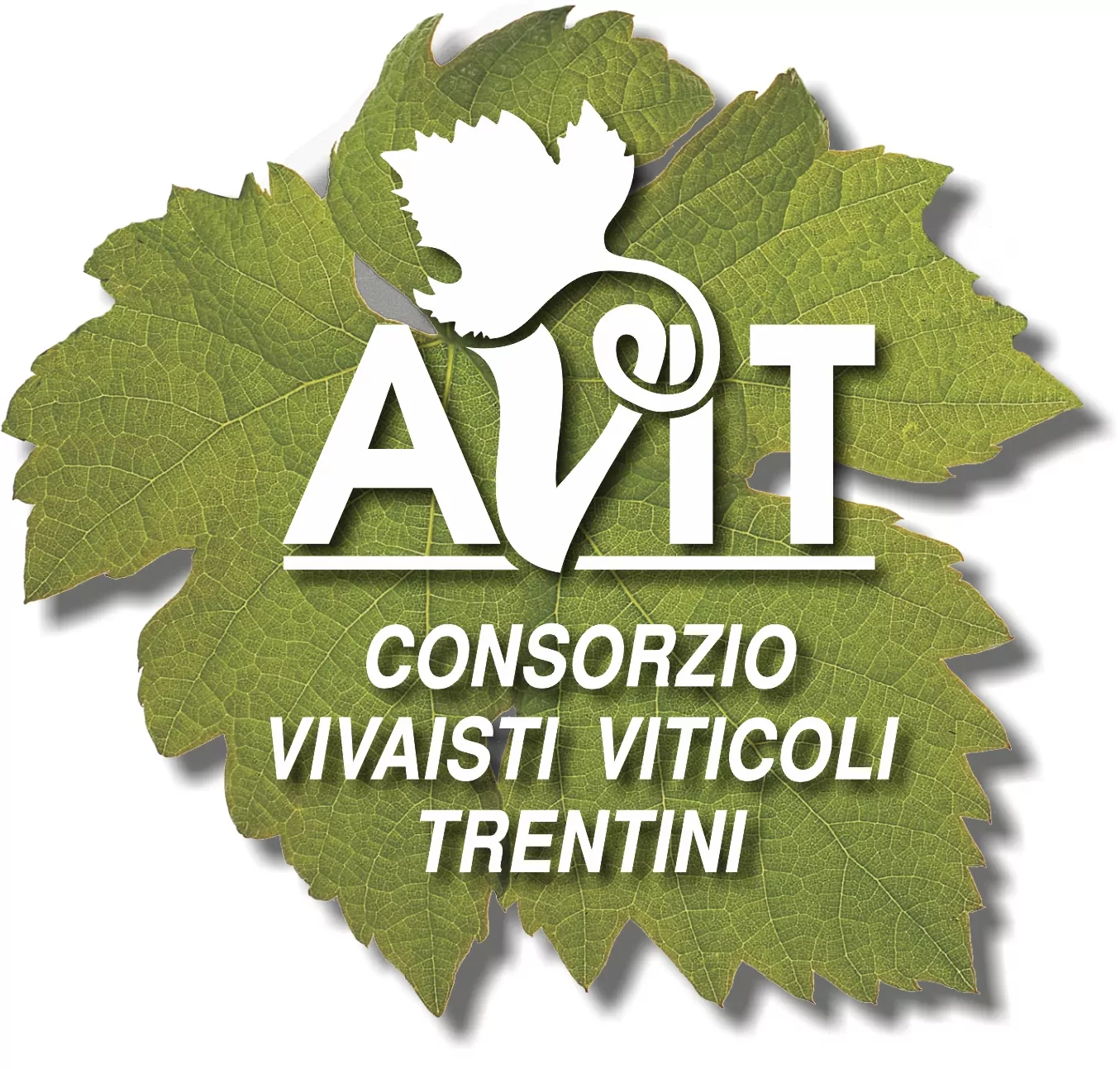 Avit