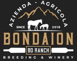Bondaion